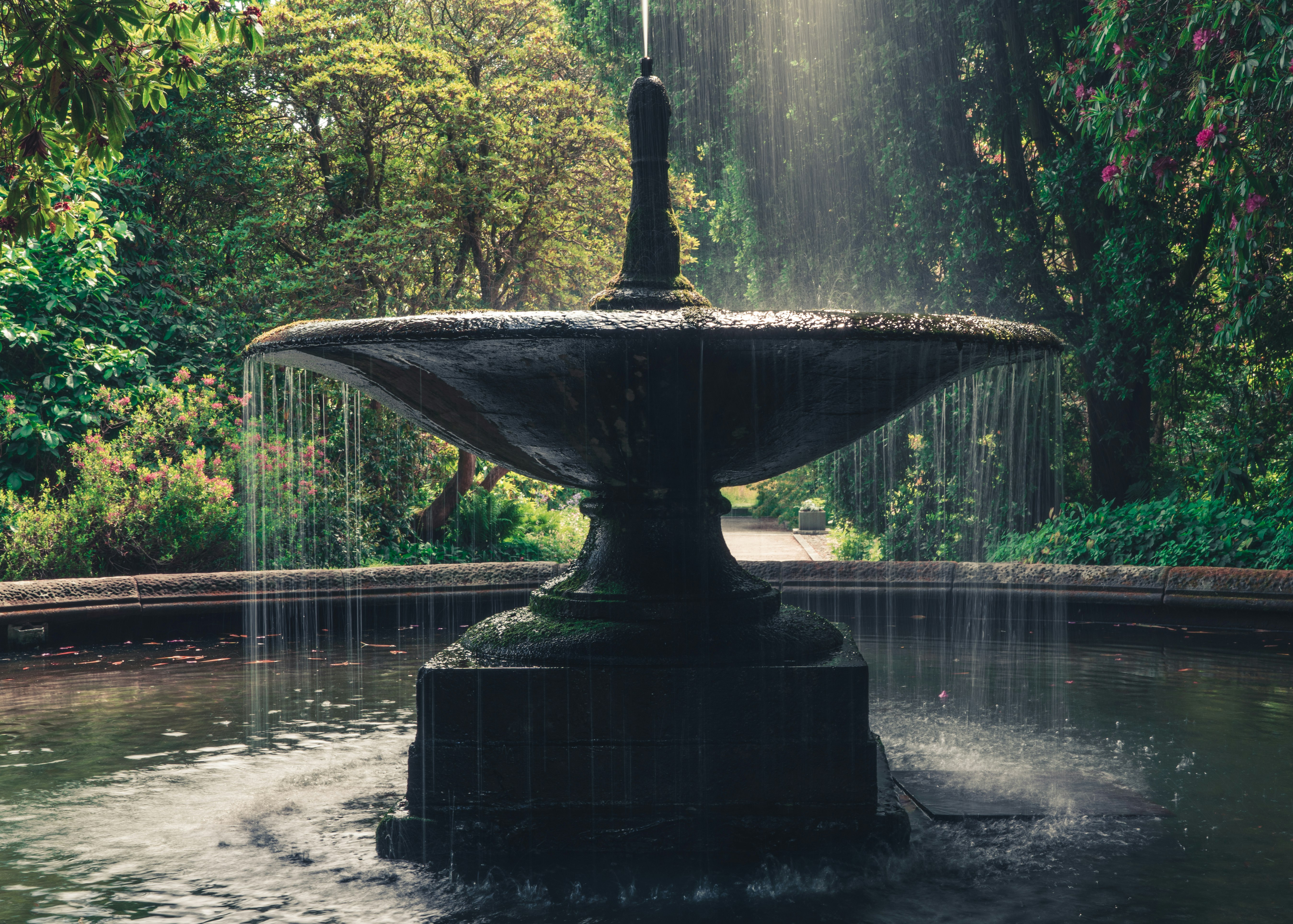 water fountain in the middle of the forest